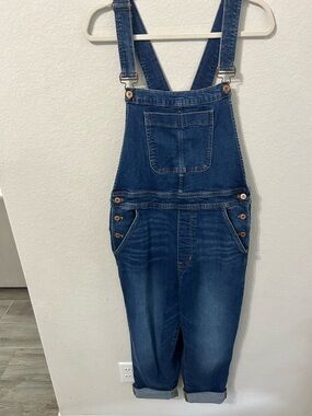 J.Crew Classic Denim Overalls in Deep Blue